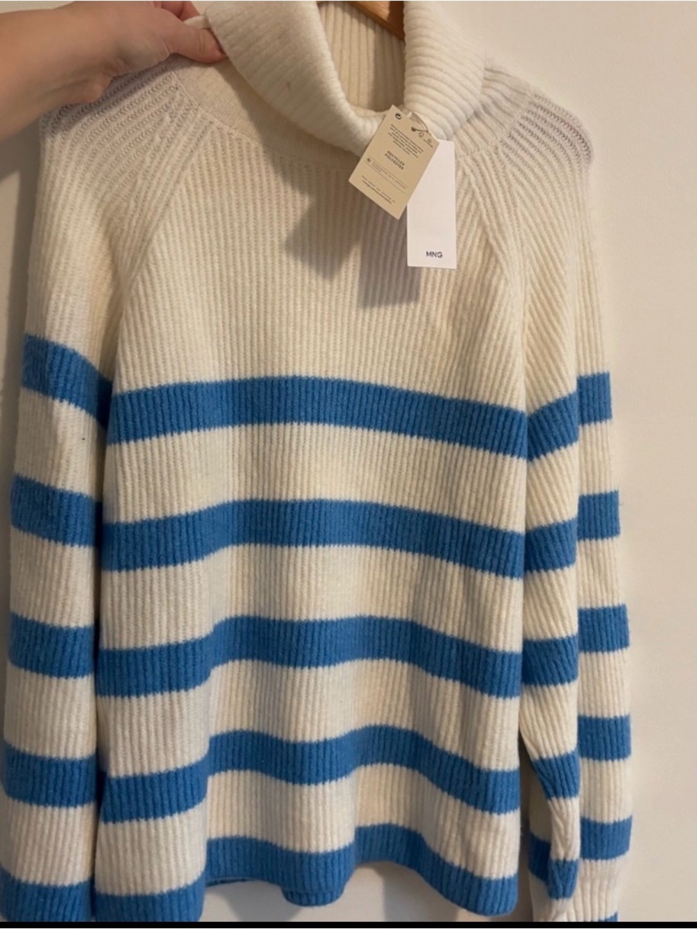 Mango Cream and Blue Striped Turtleneck Sweater